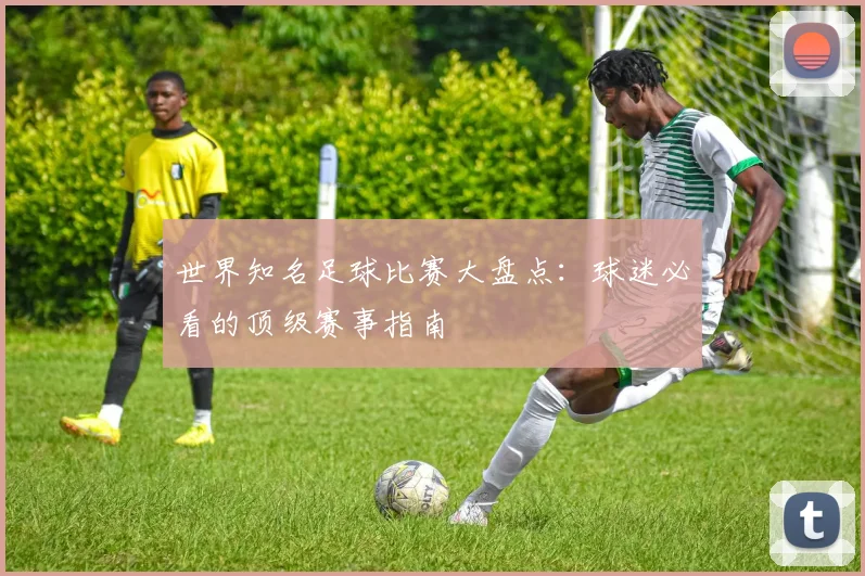 世界知名足球比赛大盘点：球迷必看的顶级赛事指南