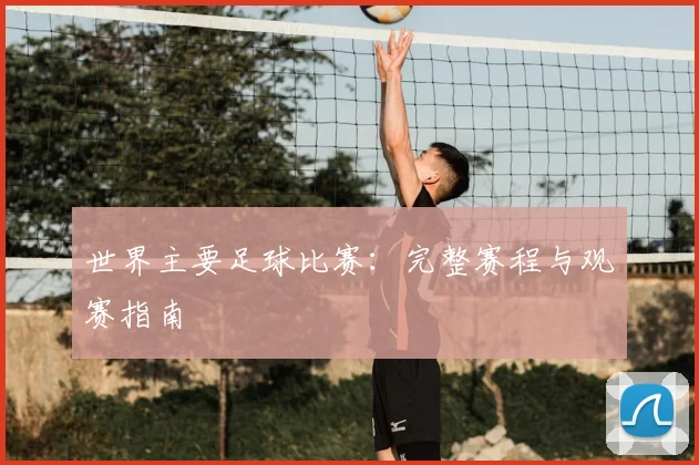 世界主要足球比赛:完整赛程与观赛指南